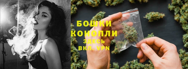 ГАЛЛЮЦИНОГЕННЫЕ ГРИБЫ Володарск
