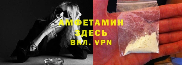 мдпв Снежногорск