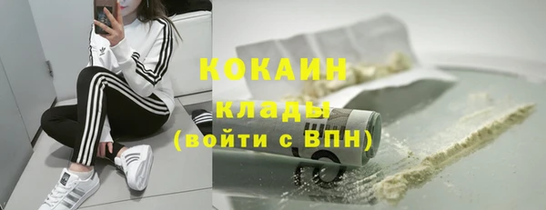 прущие грибы Снежинск