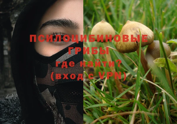мяу мяу мука Инта