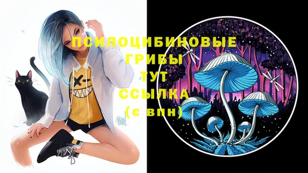 эйфоретик Слюдянка