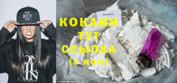 герыч Жердевка