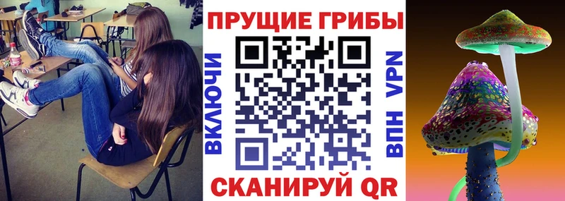 Галлюциногенные грибы Cubensis  Партизанск 