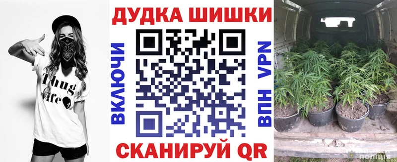 Бошки марихуана OG Kush  Партизанск 